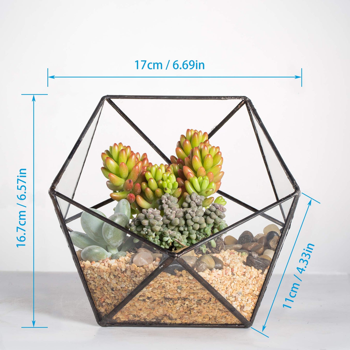 NCYP Opened Geometric Glass Terrarium, 6.69" Bowl Shape Planter for Succulent Plant Cacti, Indoor Balcony Irregular Decor, Garden Miniature Pot, Tabletop Centerpiece (No Plants)