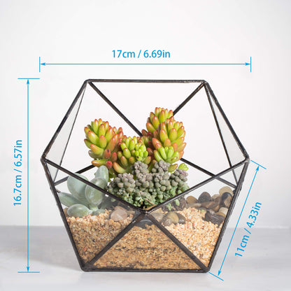NCYP Opened Geometric Glass Terrarium, 6.69" Bowl Shape Planter for Succulent Plant Cacti, Indoor Balcony Irregular Decor, Garden Miniature Pot, Tabletop Centerpiece (No Plants)