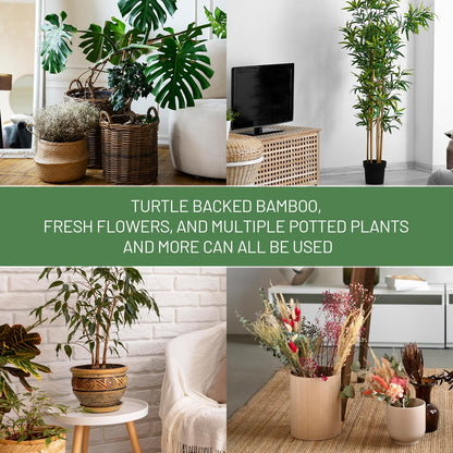 Yeomant 4PCS Green Iron Monstera Support, Uniquely Designed Plant Support Stakes for Indoor Plants, Stable Plant Stakes and Supports, Turtle Shell Bamboo Clamp Set for Thriving Growth