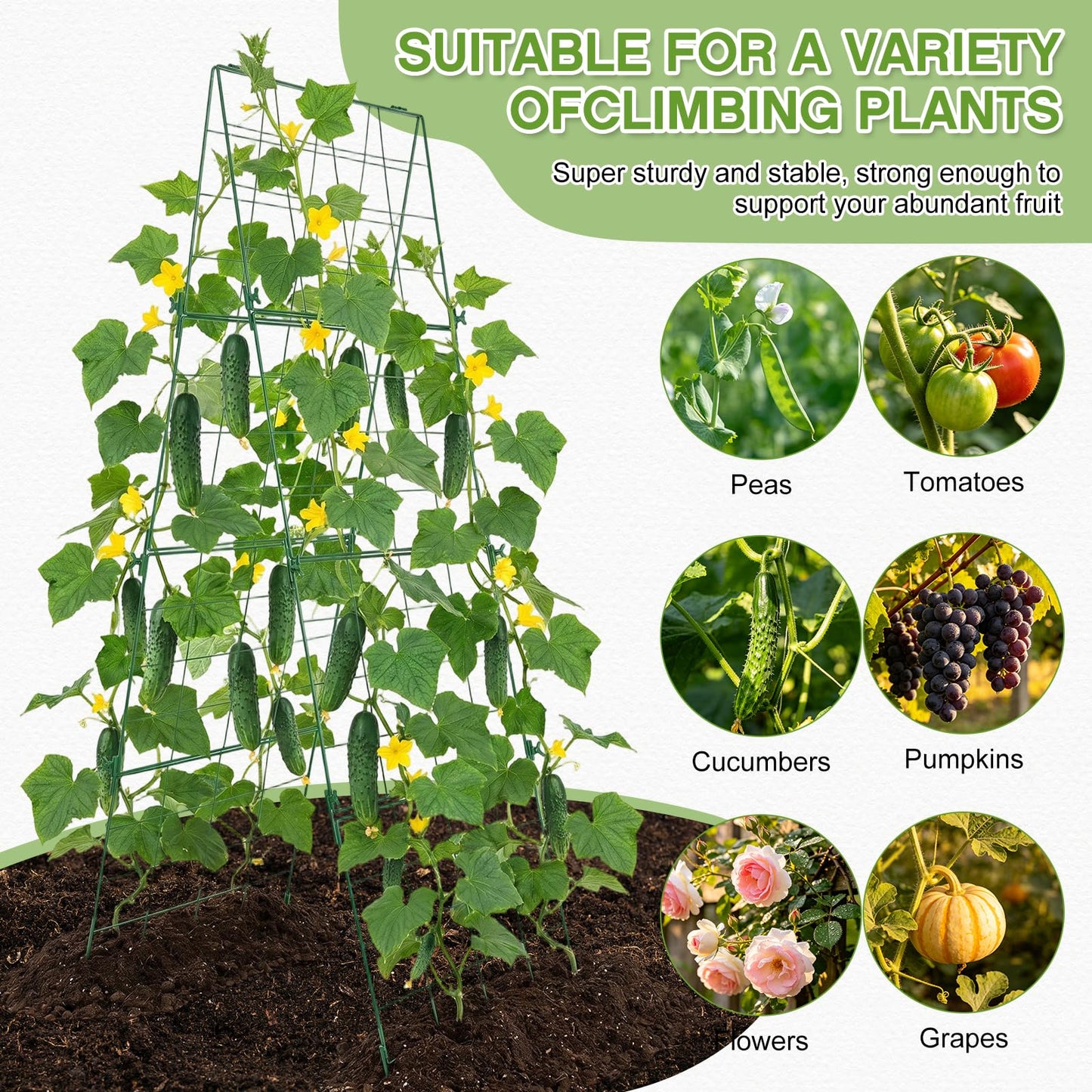 Chumia 2 Pack 48" x 16" Thickened Cucumber Trellis for Raised Bed Garden, Foldable A Frame Metal Garden Trellis for Climbing Plants Outdoor Plant Support for Vegetables Fruit, Green