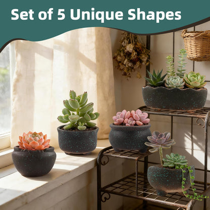 ginojex Retro Ceramic Succulent Garden Pots Small Plant Planter Container with Drainage Set of 5 for Home Office Decor