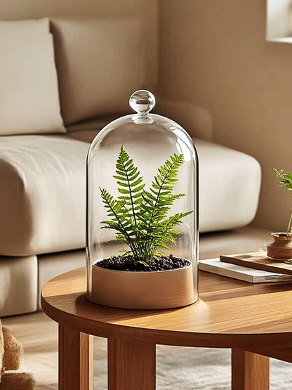 Handmade Glass Cloche, Thick & Sturdy, Dia 6"xH 12", For Terrarium, Plants, Trinkets, Cakes, Figurines, LED Light String, Candle. Cloche Glass Dome, Bell Jar Display Case (1, 6"x12")