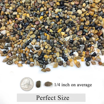 FANTIAN 10 lbs Pea Gravel for Landscaping,1/4 Inch Aquarium Gravel. Decorative River Rocks for Fish Tank Succulent Vase Cactus Bonsai Plant Soil Cover and Outdoor Landscaping Rocks