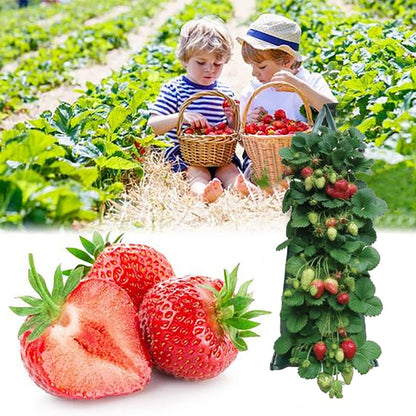 2024 Hanging Strawberry Planter - Upside-Down Patio Garden Tomato Grow Bags With Handle for Outdoor (3)
