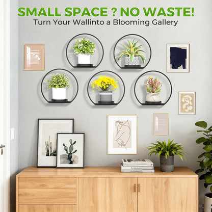 DEMEGA Wall Planters for Indoor Plants,Plant Frames Wall Decor Living Room Plant Stand Hanging Wall Plants Holder to Hold Large Pots Wall Plant Hanger Window Plant Shelves for Outdoor Entryway