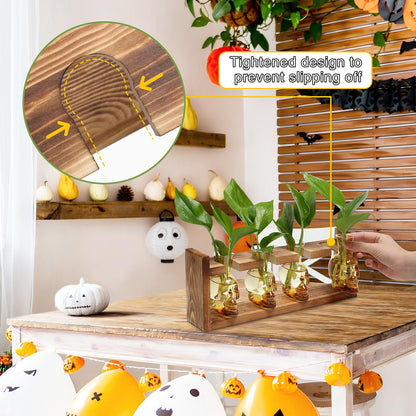Plant Propagation Stations Halloween Skull Plant Terrarium Kit Glass Vases Gift for Father Air Planter Home Office Decor