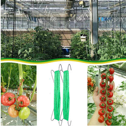 alfyng 60pcs Tomato Hooks - 20Pcs Tomato Support Hooks with 32.8ft Twine String, 40pcs Tomato Holder Hooks & Plant Support J-Hook Clips to Prevent Tomatoes from Pinching or Falling Off
