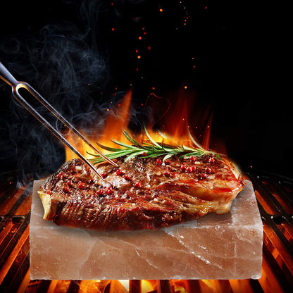 Himalayan Salt Plate Steel with Holder Set, Outdoor BBQ Himalayan Salt Block for Grilling Searing Chilling Cutting Seasoning & Serving, Size 12x8x1.6 inch.