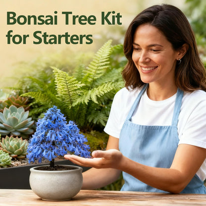4 Pack Bonsai Tree Kit - 4 Seeds Growing Plant Bonsai Tree Live Kit for Beginners, Easy to Grow Complete Indoor Garden Starter Kits with Wooden Box & Tools, Christmas Gifts for Men Women Plant Lover
