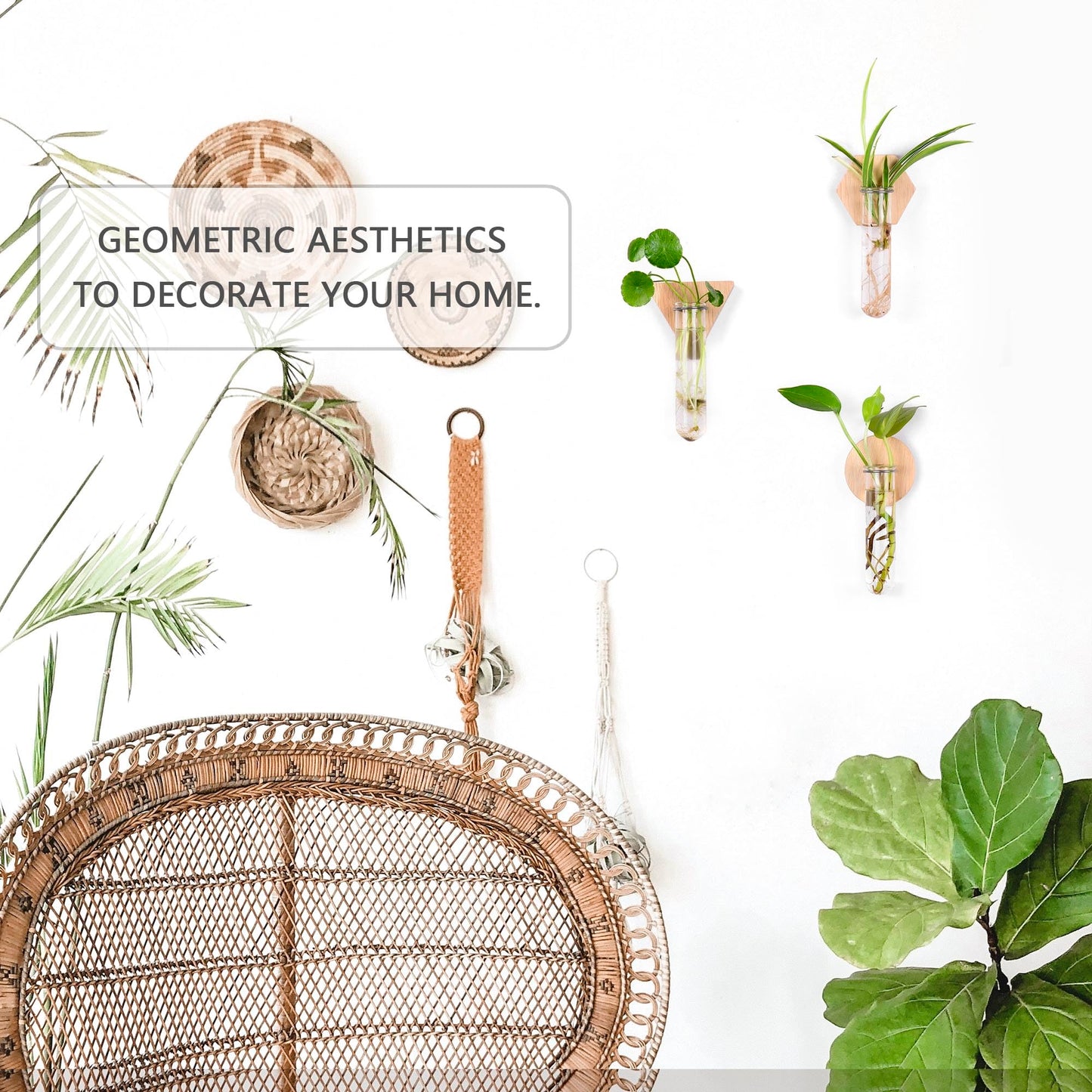 MITIME Wall Hanging Glass Planter Plant Propagation Station, Geometric Wooden Stand for Home Office Decoration