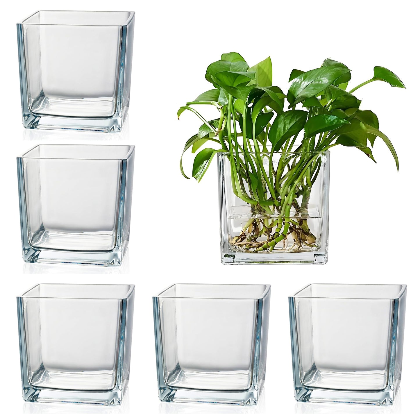 Set of 6 Square Glass Vases for Centerpieces – 4" x 4" x 4" Clear Short Vases, Flower Vase, Plant Terrariums, or Candle Holders for Wedding Centerpieces, Office Decor, Home Décor, Parties