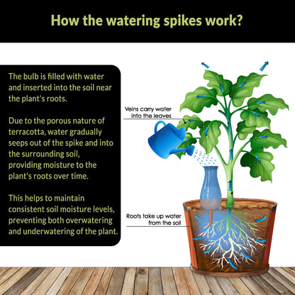 SmartiLiving Drip Irrigation Stakes - Extra Large Improved Drip Easy-Refill 4 Week Waterer System with Large Reservoir Bulbs - Automatic Self-Watering Device for Indoor & Outdoor Plants