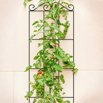 ARIFARO 57.5'' Metal Garden Trellis for Climbing Plants,(Pack of 4) Indoor/Outdoor Sturdy Plant Trellis for Potted Plants,House Plants, Climbing Vines, Black