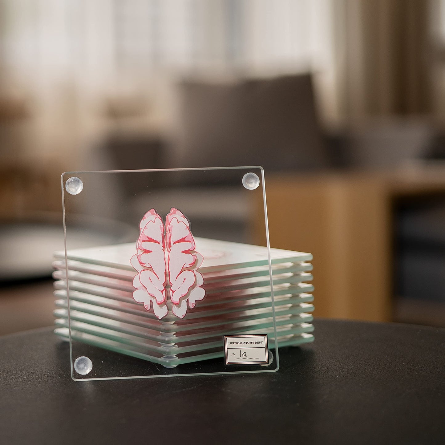 ThinkGeek Anatomic Brain Specimen Coasters Set of 10 for Neuroscience Medical Student Gifts Human Anatomy Generix geek