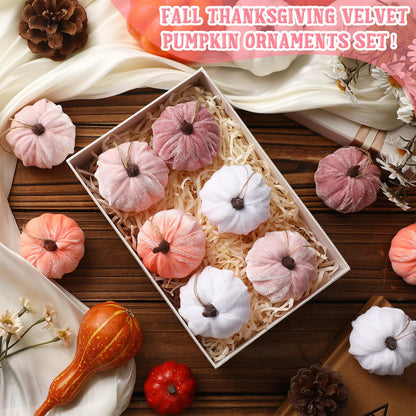 Vercraft 12 Pcs Thanksgiving Pumpkin Hanging Ornament 2 Inches Velvet Thanksgiving Fall Tree Decorations Fabric Small Tree Decorations for Farmhouse Harvest Autumn Home Party Decor(Pink and White)