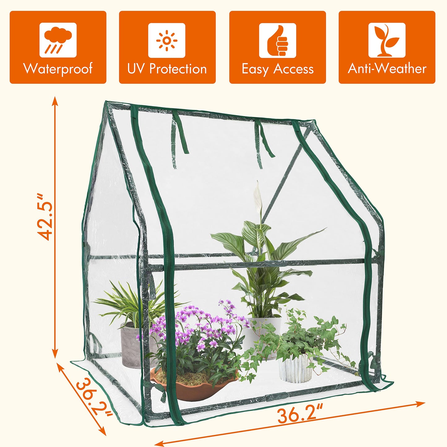 Gardzen Mini Greenhouse Heavy Duty Portable Green House, Zipper Clear Tent Small Greenhouse for Indoor Outdoor Plants 36.2”(L) x36.2”(W) x42.5”(H)