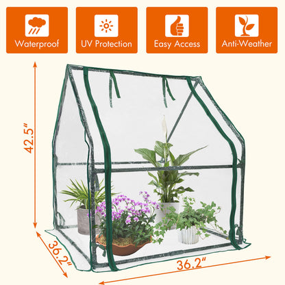 Gardzen Mini Greenhouse Heavy Duty Portable Green House, Zipper Clear Tent Small Greenhouse for Indoor Outdoor Plants 36.2”(L) x36.2”(W) x42.5”(H)