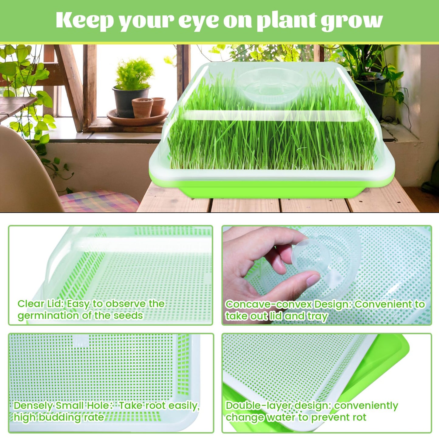 Legigo 2 Pack Seed Sprouter Trays with Lids- Soil-Free Cultivation Germination Tray, BPA Free Micro Greens Growing Trays Seed Sprouting Trays Kit with Germinating Paper for Wheatgrass, Beans and More