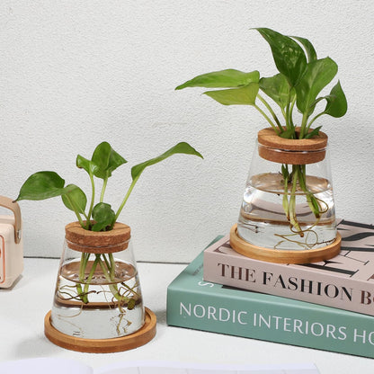 2pcs Glass Plant Propagation Station with Wooden Base Hydroponic Plants Vase for Indoor Decor Glass Terrarium Vase Jars Home Kitchen Decorations and Gifts for Planter Lovers