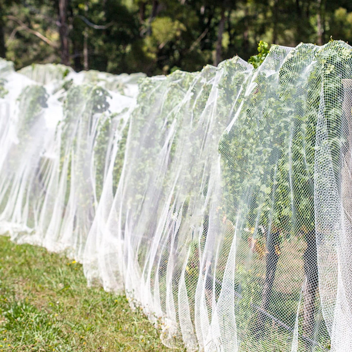 Unves 10x12ft Garden Netting, Bird Mesh Mosquito Netting, Row Covers Bird Net Barrier Screen Protect Fruits Crops, White Plant Cover Garden Mesh for Raised Beds Covers from Bugs Insect