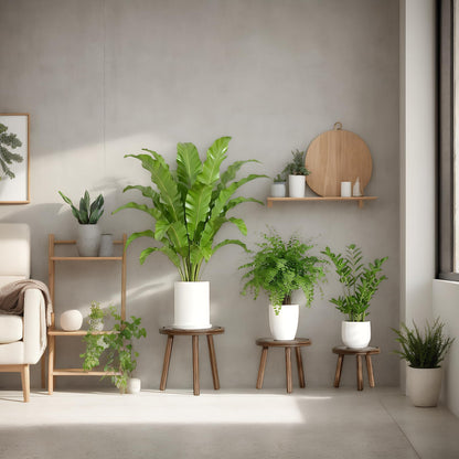 Vecxoty 3-Pack Wood Plant Stands Indoor, Single Plant Stand for 6-12 Inch Pots, Mid-Century Modern Plant Stool, Tall Plant Stand for Large Plants Perfect Fit for Living Room, Balcony, Office
