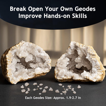 Japace Earth Science Kits for Kids Age 6-8-12-14, Birthstone Gemstone Dig Kit, Geology Kit with Break Your Own Geodes, Crystal Growing Experiment, Rock Mining Kit Birthday Gifts Toys for Boys Girls