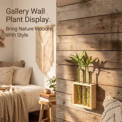 3-Tube Plant Propagation Station, Wall-Mounted Terrarium with Propagation Tubes – Ideal for Indoor Plant Propagation in Living Rooms, Bedrooms & Offices (Uses Test Tubes for Plants)