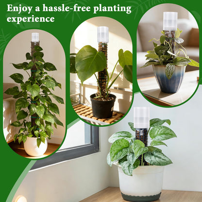 6 Pack Adjustable Moss Pole Watering Dripper, Self Watering Planter Insert with Flow Control, Plant Watering Globes Devices, Slow Release Self Watering Spikes for Monstera Epipremnum