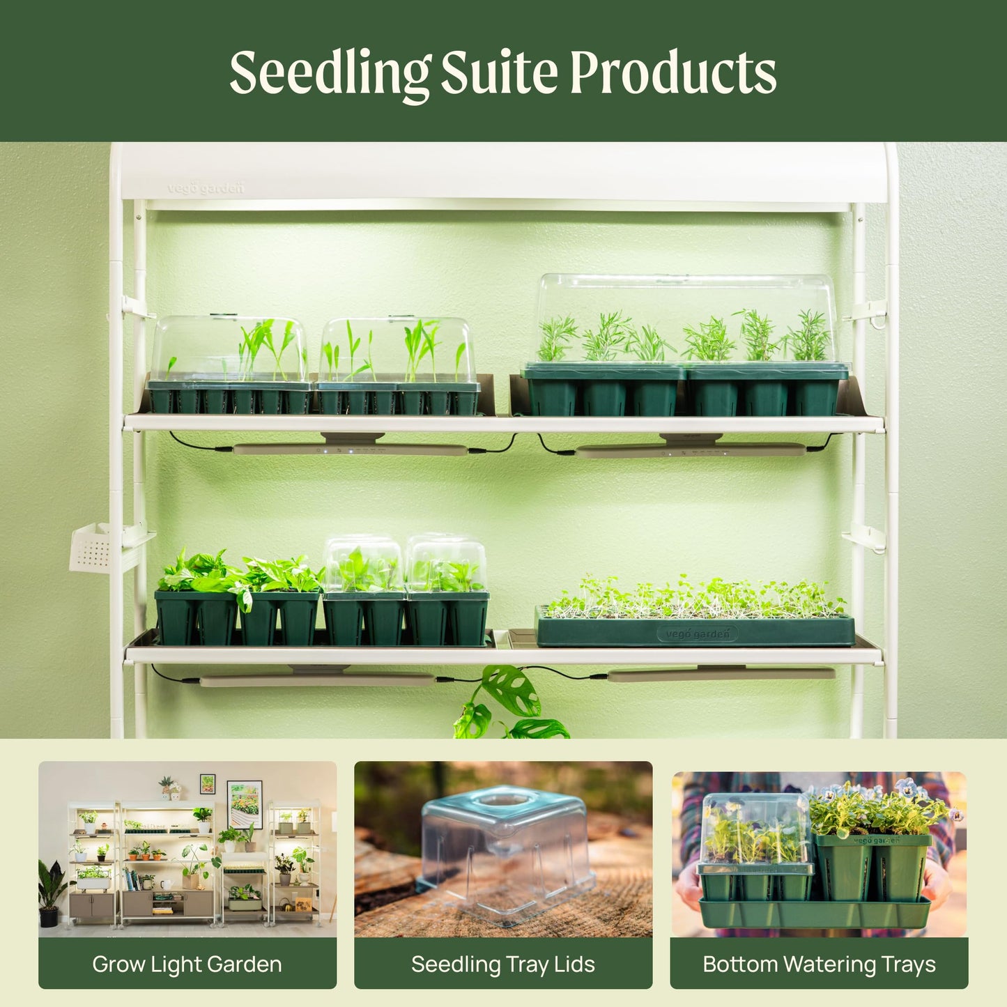 Vego garden 10" x 20" 76 Cells Seed Starter Tray Stackable Seedling Starting Germination Trays for Plants Planting Vegetables Herbs Flowers, 4 Sets