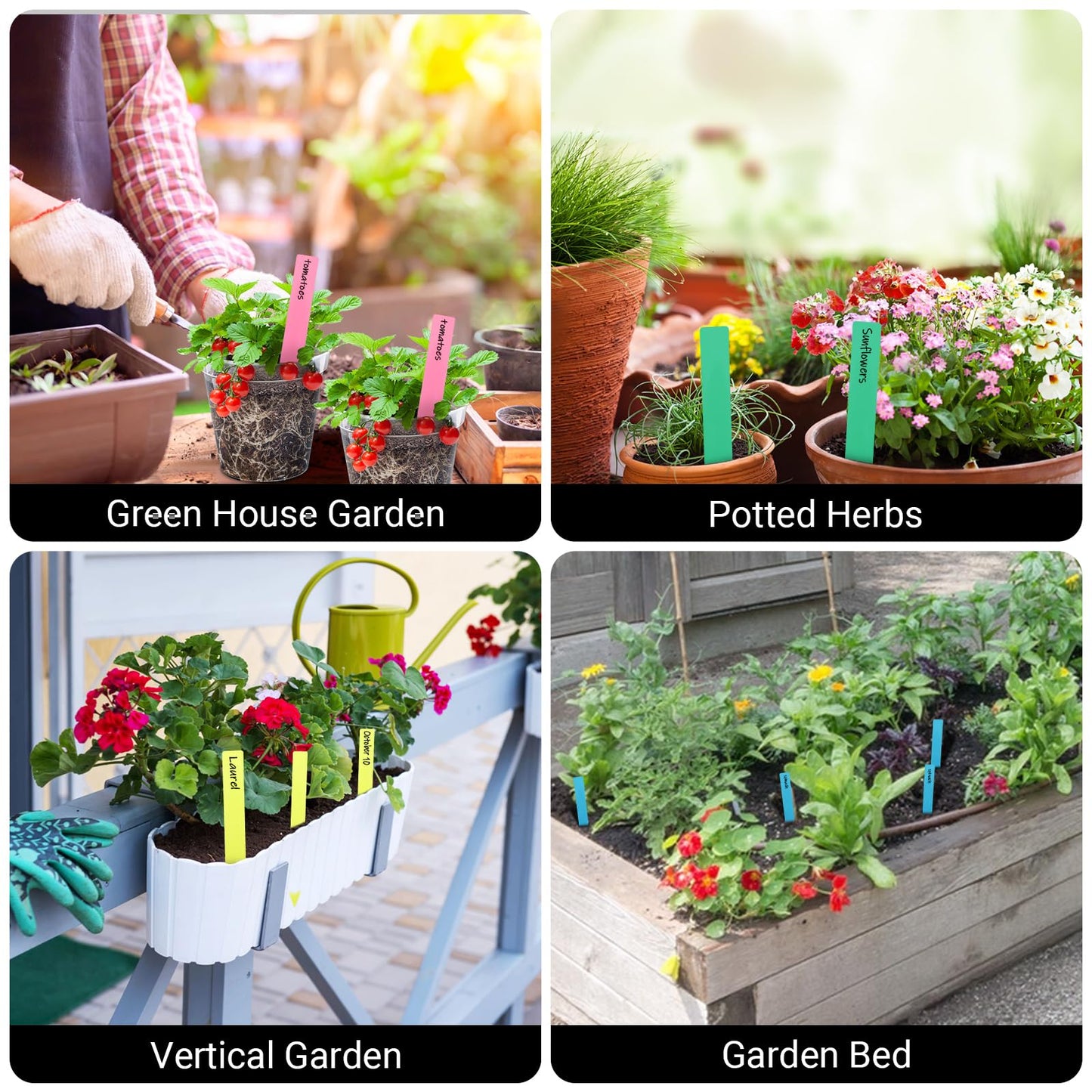 GREANER Window Boxes Planters with 100PCS 6inch Colorful Plant Label, 3PCS 16x3.8 Inch Large Herb Planters with Tray, Indoor Succulent Cactus Flowers Vegetable Plastic Rectangle Pots for Balcony, Offi