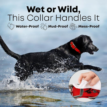 Regal Dog Products Small Red Waterproof Dog Collar and Leash Set | Heavy Duty Double Buckle & D Ring - 5'ft Leash | Adjustable Biothane Dog Collar | Chew Resistant Waterproof Collar for Dogs