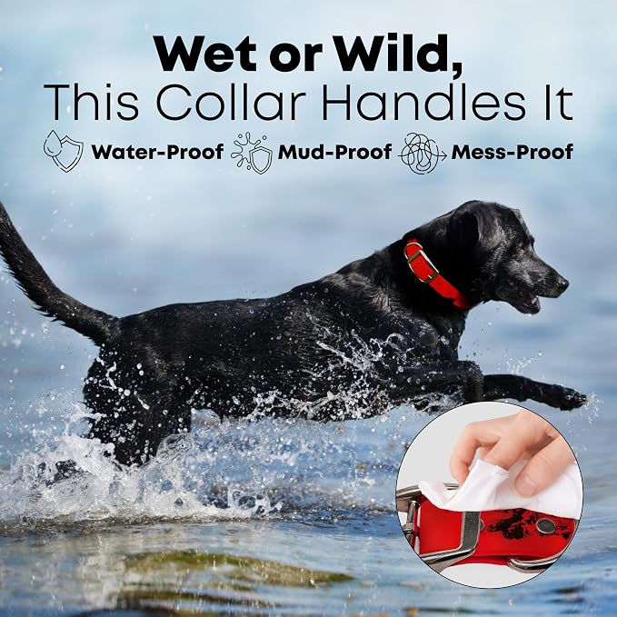 Regal Dog Products Medium Red Waterproof Dog Collar and Leash Set | Heavy Duty Double Buckle & D Ring - 5'ft Leash | Adjustable Biothane Dog Collar | Chew Resistant Waterproof Collar for Dogs