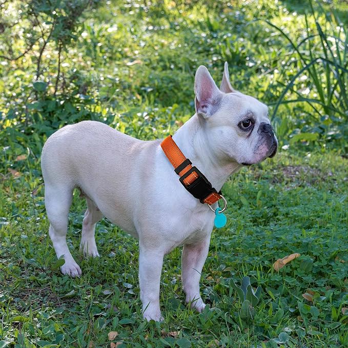 Ladoogo Reflective Dog Collar Padded with Soft Neoprene Breathable Adjustable Nylon Dog Collars for Small Medium Large Dogs (Large (Pack of 1), Orange Collar+Leash)