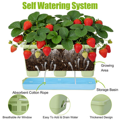 Oliz Window Box Planter 6 Packs, 13.8 Inches Rectangle Flower Pots with Drainage Holes & Trays, Pots for Vegetables, Herbs, Flowers, Garden Windowsill Balcony (Green)