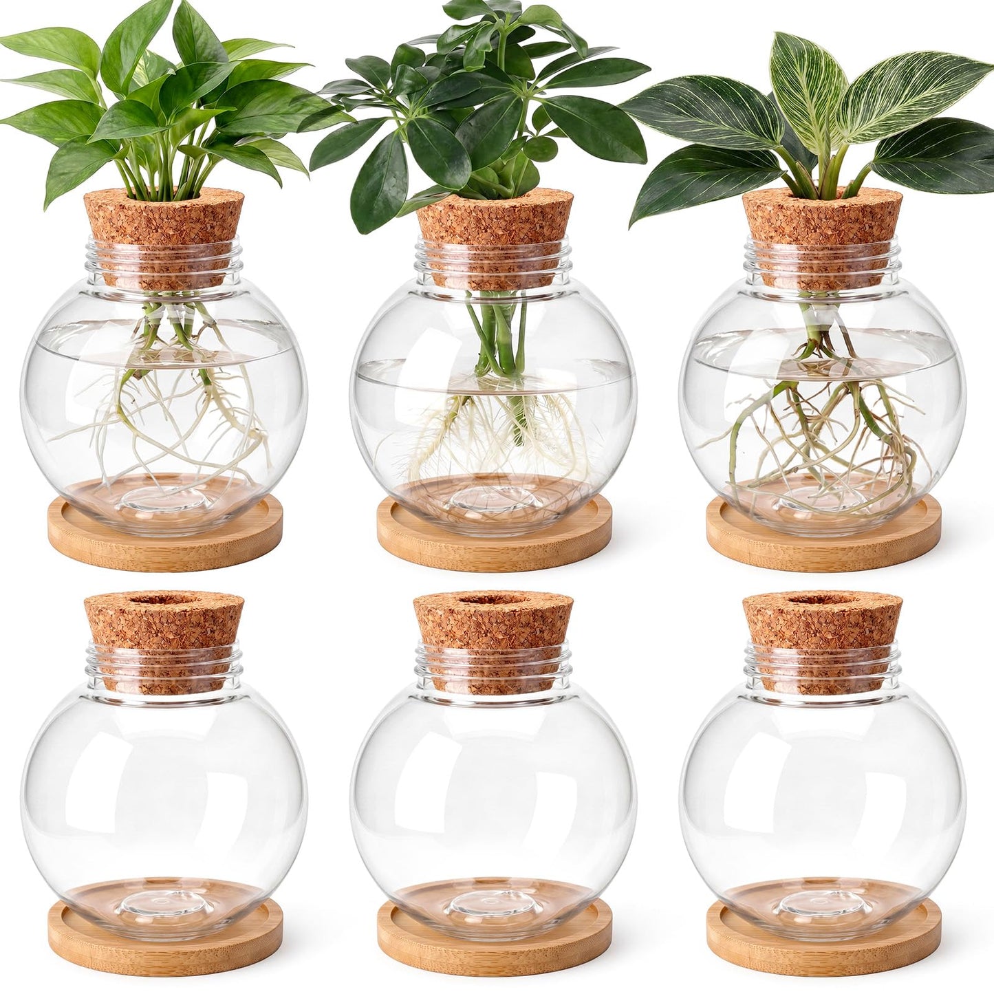 Ripeng 6 Pack Propagation Vases for Plants Plastic Large Plant Propagation Station with Hole Lid and Cork Coasters Growing in Water Hydroponic Home Office Table Garden Kitchen Decor, 4.06 x 3.98 Inch