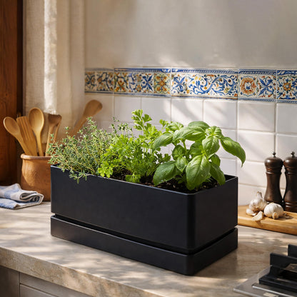 D'vine Dev 12" x 6.5" Window Box Planter, Rectangular Plastic Herb Planter with Drainage Holes & Saucer, Succulent, Cactus & Vegetable Pot for Windowsills/Balconies, Black, Set of 2, 76-P-B-2