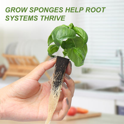 Kiicii Kratky Method Hydroponic Planter Kit, 8 Hydroponic Planter Plus 24 Growing Sponges for Herbs, Hydroponic Mini Buckets for Windowsill Herb Garden, Hydroponic Growing System for Vegetables
