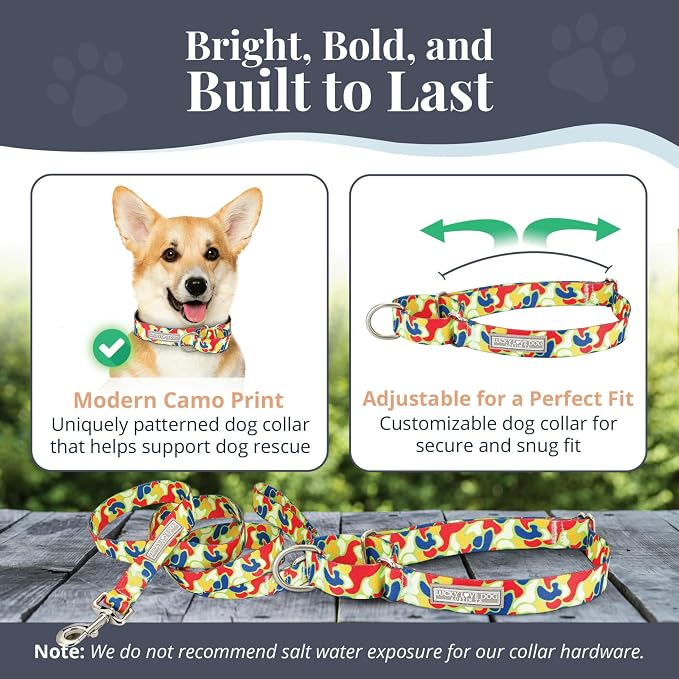 Lucky Love Dog Martingale Dog Collar & Leash - Adjustable, No-Slip, Durable, Comfortable, Soft Webbing, & Stylish Patterned Collar & Leash Set for Male and Female Dogs - Oscar Combo, Small