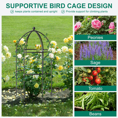 DoCred 3 Pack Plant Support, Plant Supports for Peonies Large Sturdy Grow-Through Steel Flower Support Trellis and Garden Decor | Best to Support Peonies, Baptisia, Sedum, Black