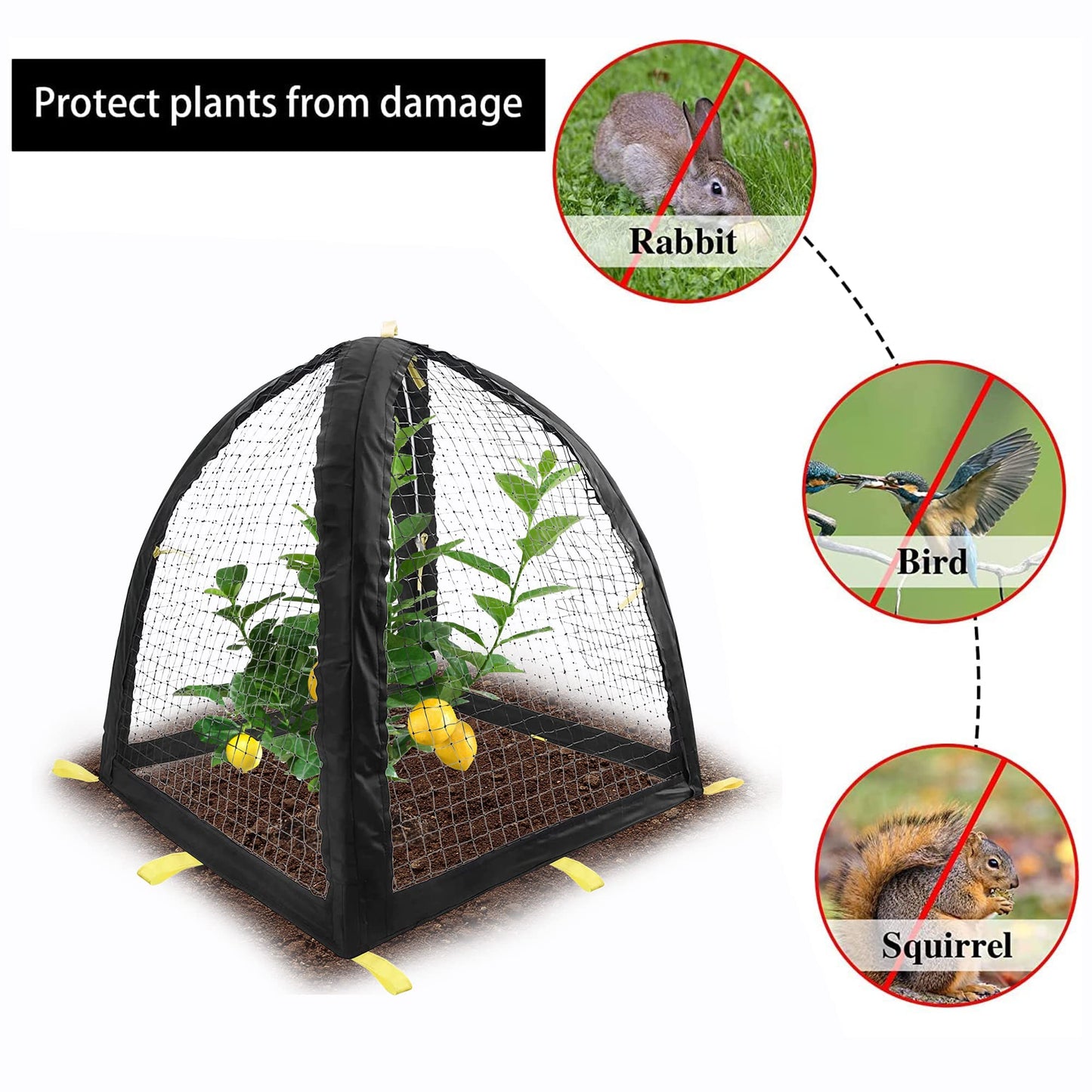 2PCS Pest Guard Cover-22 x 22 x 23 Inch Mesh Plant Cover for Pests-Garden Plants Cloche Tent for Protect Plants Vegetables Fruits Shrubs from Squirrel Animal Eating