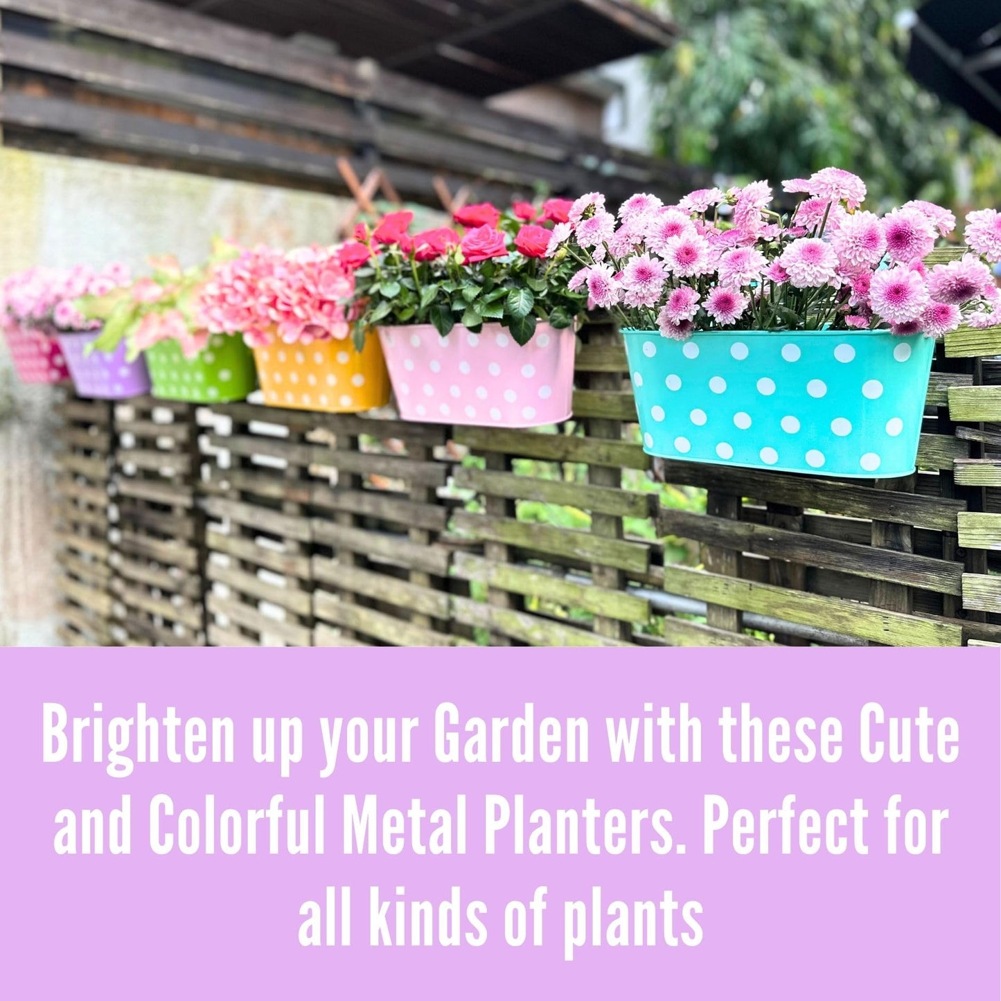 LaLaGreen Bundle - 4 Pack,11.8 Inch White + 6 Pack,11.2 Inch Multicolor Polka Dot Rounded Metal Iron Hanging Flower Pot,Wall Mount Modern Style Window Fence Railing Deck Colorful Plant Box Holder
