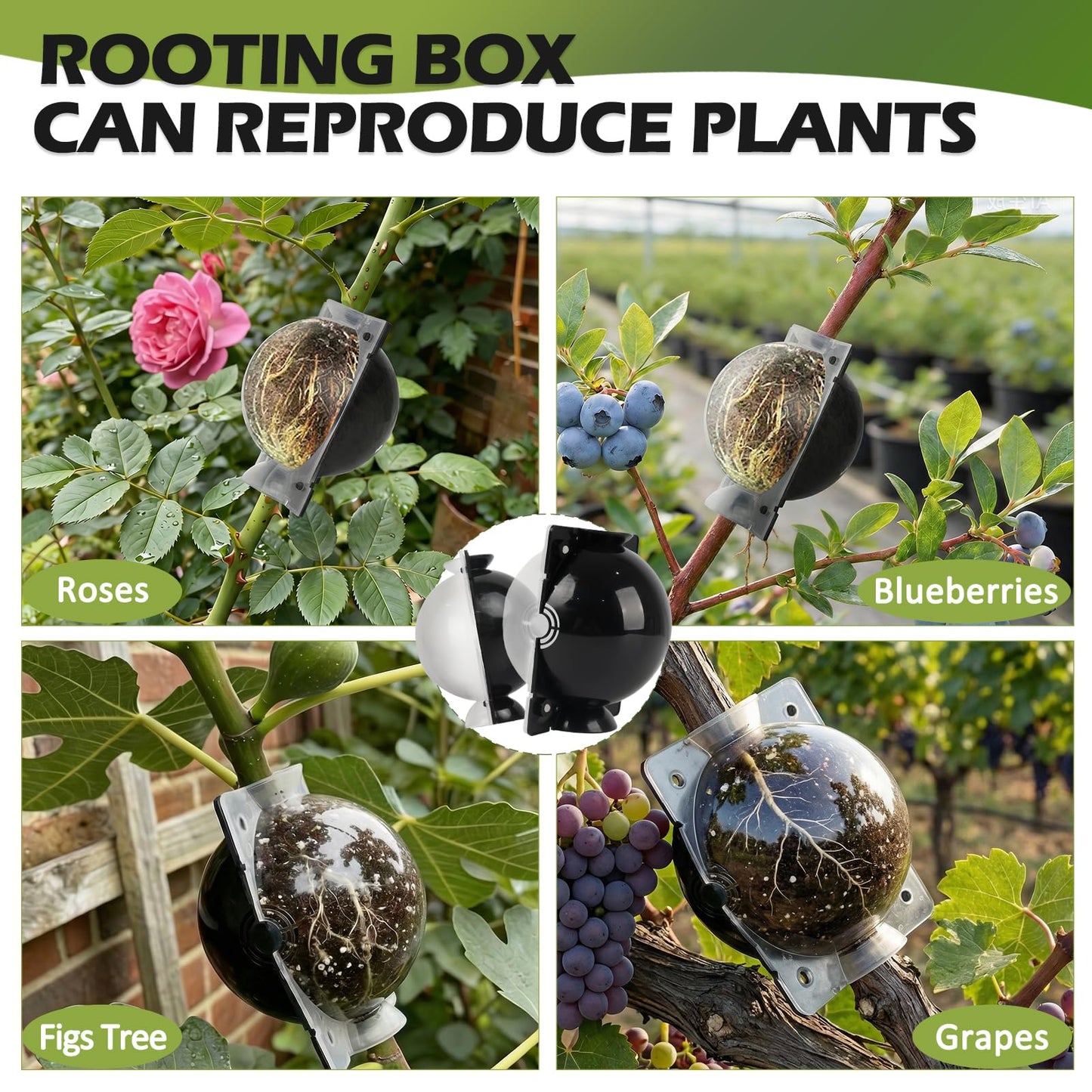 NVAAV Tree Root Growing Box, Air Layering Pods Propagation Kit, Reusable Half Transparent Plants Asexual Reproduction Grafting Ball for Fast Propagation Plants (6pcs Meidum + 6pcs Large)