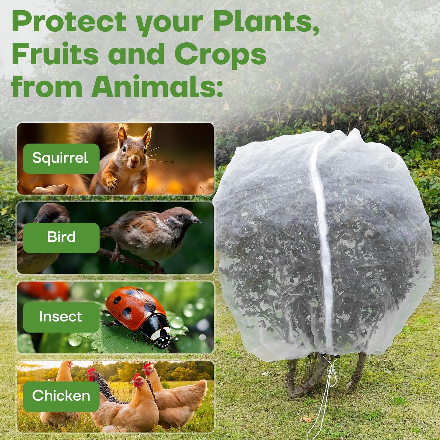 6FT x 6FT Fruit Tree Netting with Zipper and Drawcord, 2Pcs Garden Plant Net Pest Barrier Bag, Insect Bird Mesh Netting Cover for Protect Vegetables Flower Blueberry