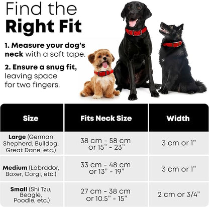 Regal Dog Products Large Red Waterproof Dog Collar and Leash Set | Heavy Duty Double Buckle & D Ring - 5'ft Leash | Adjustable Biothane Dog Collar | Chew Resistant Waterproof Collar for Dogs