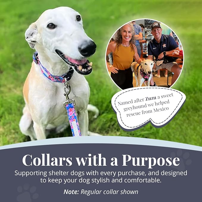 Lucky Love Dog Martingale Dog Collar & Leash - Adjustable, No-Slip, Durable, Comfortable, Soft Webbing, & Stylish Patterned Collar & Leash Set for Male and Female Dogs - Zuzu Combo, Medium