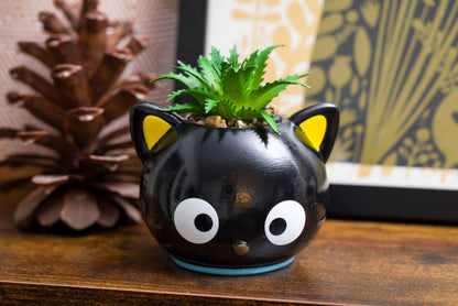 Silver Buffalo Sanrio Hello Kitty and Friends Mini Ceramic Planter Featuring Chococat, 3.75” x 3.25” x 3.75”