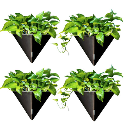 LaLaGreen Wall Planters for Indoor Plants - 4 Pack, 12 Inch Large Self Watering Black Geometric Hanging Flower Vase Vessel with Metal Hanger, Modern Stylish Wall Mounted Succulent Pot Holder Decor