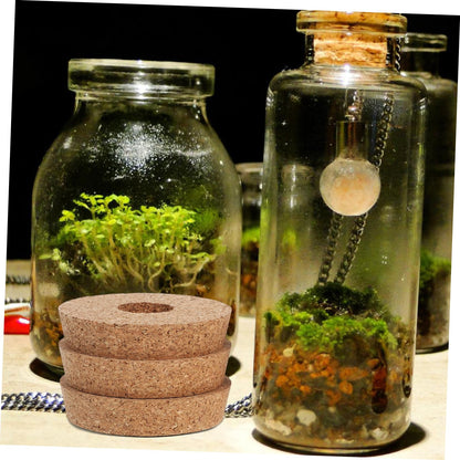 KESYOO 6 Pcs Hydroponic Glass Terrarium Vases with Cork Lids for Plant Propagation Flower Pot Stoppers for Indoor Decor