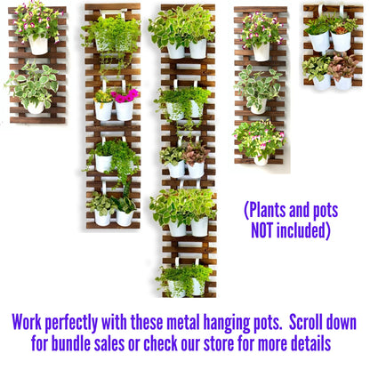 ShopLaLa Bundle- 5 Pack Set Wooden Hanging Plant Holder + 10 Pack, 4 Inch Black Self Watering Plastic Pots Large Wall Mount Vertical Hydroponic Live Garden Rustic Farmhouse Huge Shelves Modern Decor