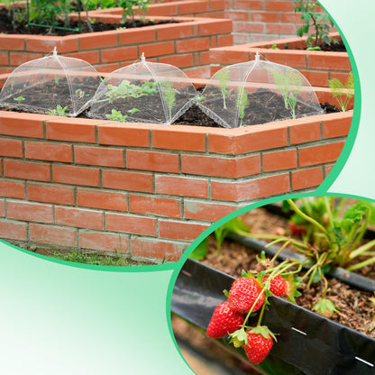 6 Sets Strawberry Plant Supports with Mesh Plant Cover,Strawberry Growing Racks with Metal Plant Nails and Storage bag for Strawberry Vegetables，Used to protect strawberries and keep them clean